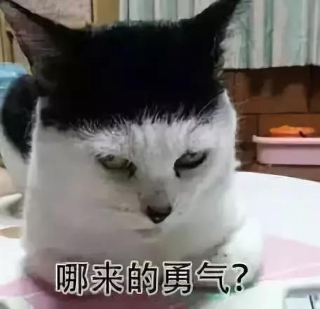 胆量悬殊的二人