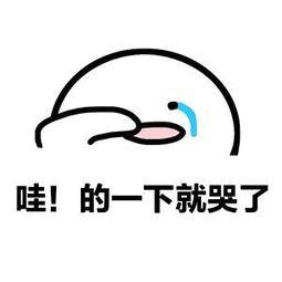 官宣:12/22缤纷启幕!独家品牌开启吃喝逛玩模式!