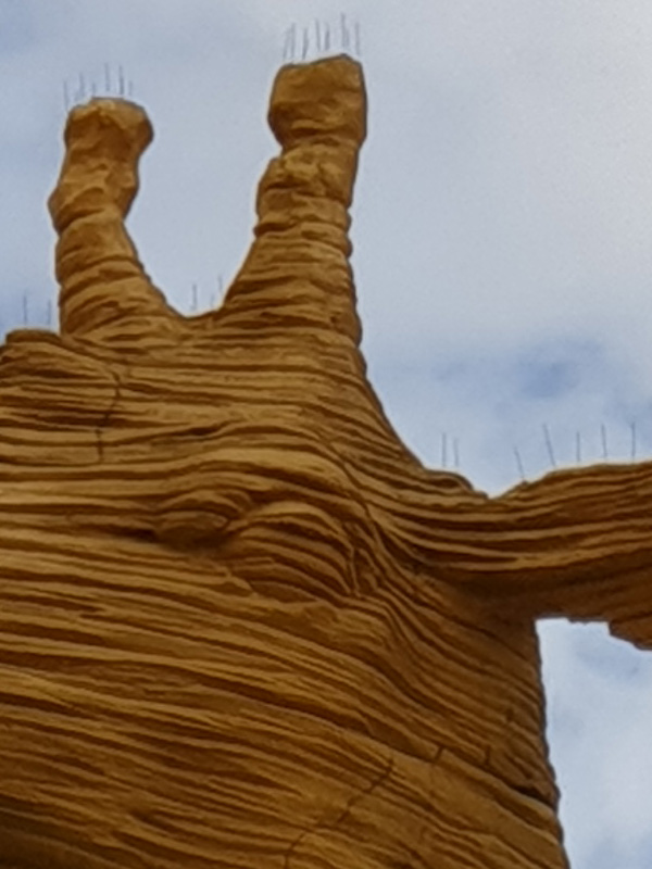 三星galaxynote9颜值,三星galaxynote4拍照