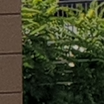 三星galaxynote9颜值,三星galaxynote4拍照