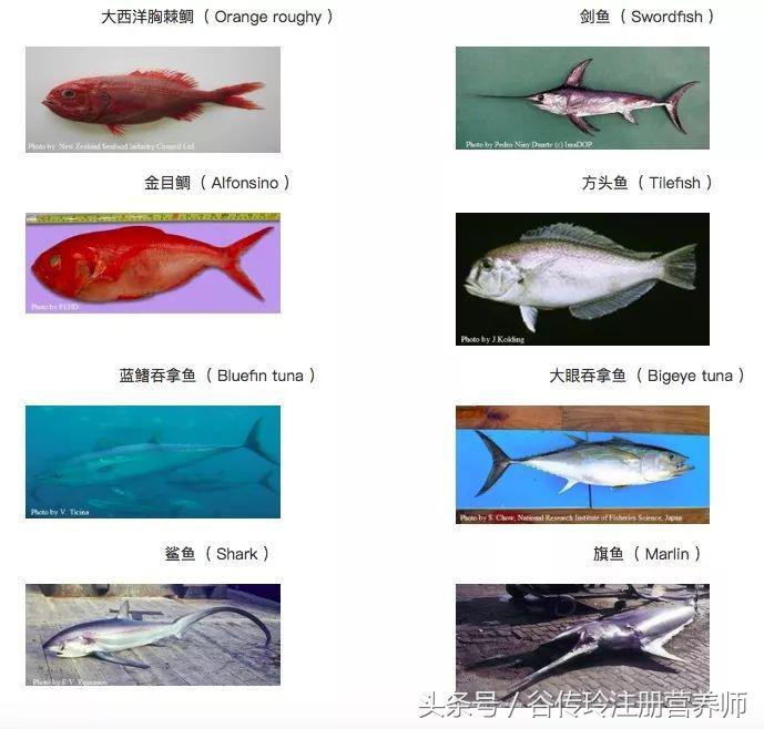 孕妇为什么不能吃螃蟹和柿子,孕妇吃螃蟹吃柿子有什么影响