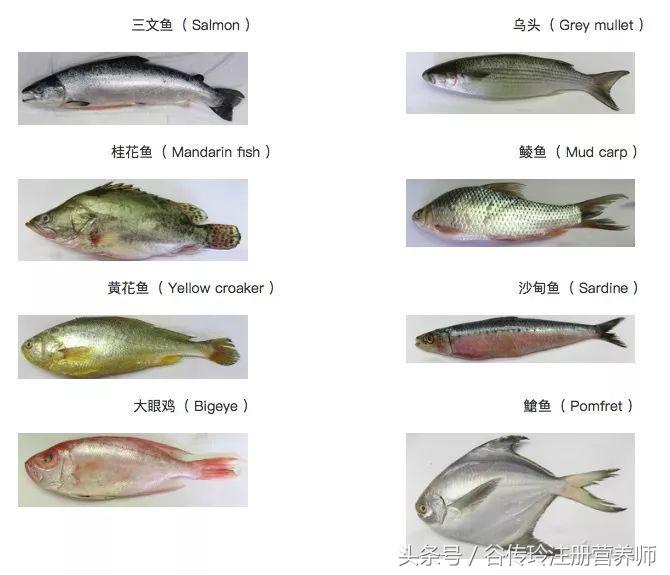 孕妇为什么不能吃螃蟹和柿子,孕妇吃螃蟹吃柿子有什么影响