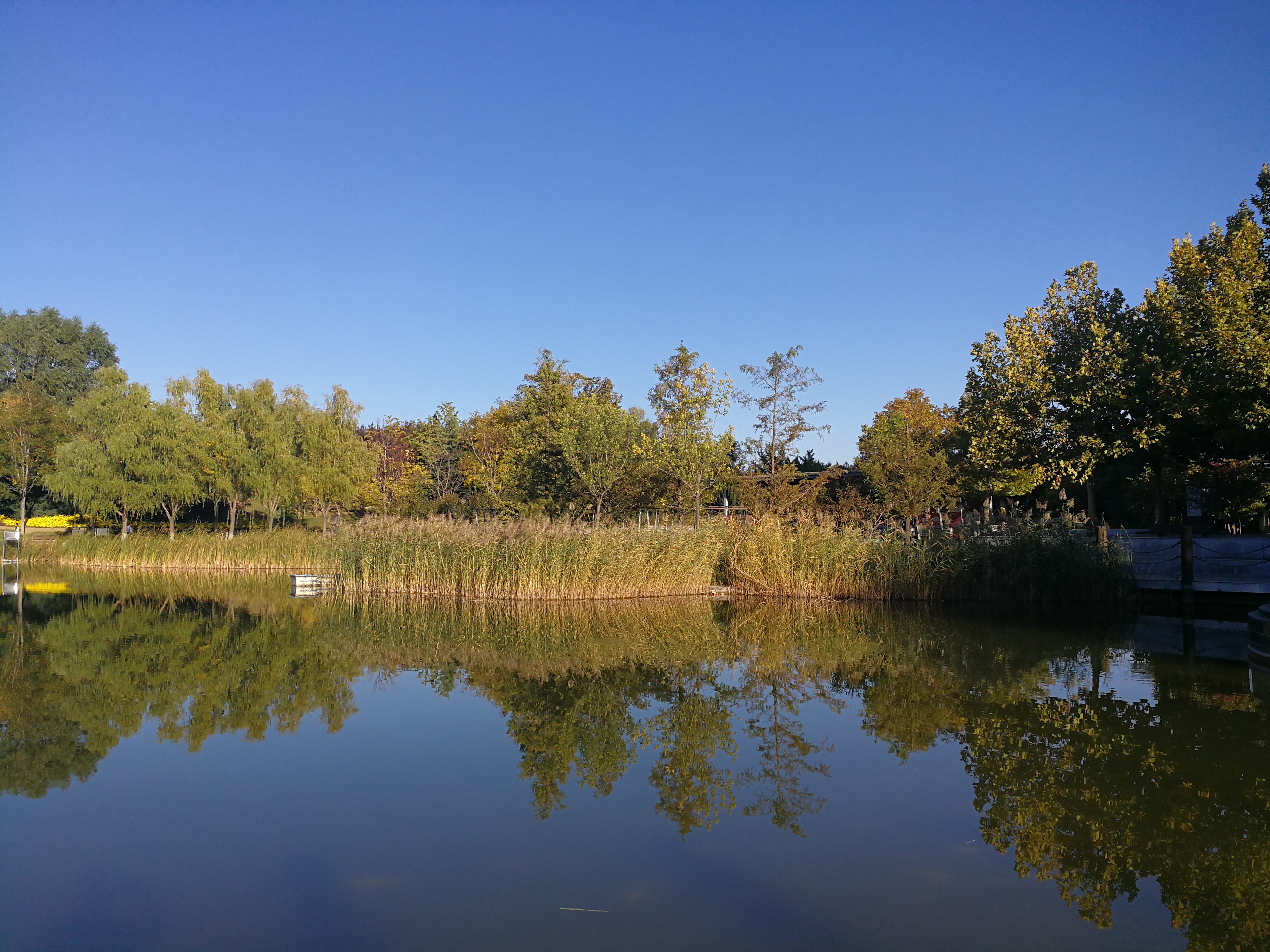 之前贷款有逾期怎么才能消除,以前贷款有逾期如何贷款