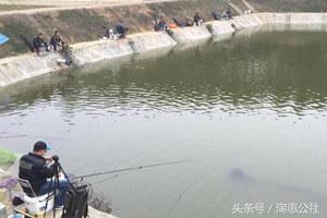 冬钓黑坑鲫鱼用红虫好还是虾饵好,鲫鱼钓法技巧野钓视频