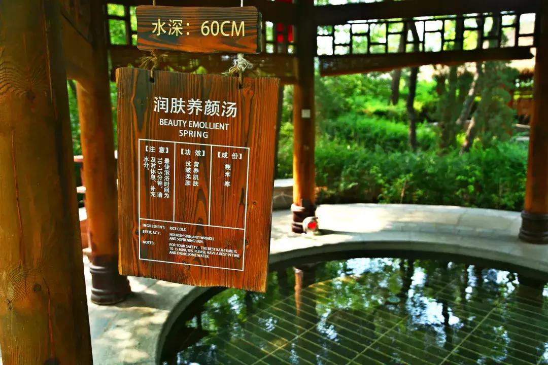 秋天,疗养黄金季!抚顺热高乐园重阳献礼!