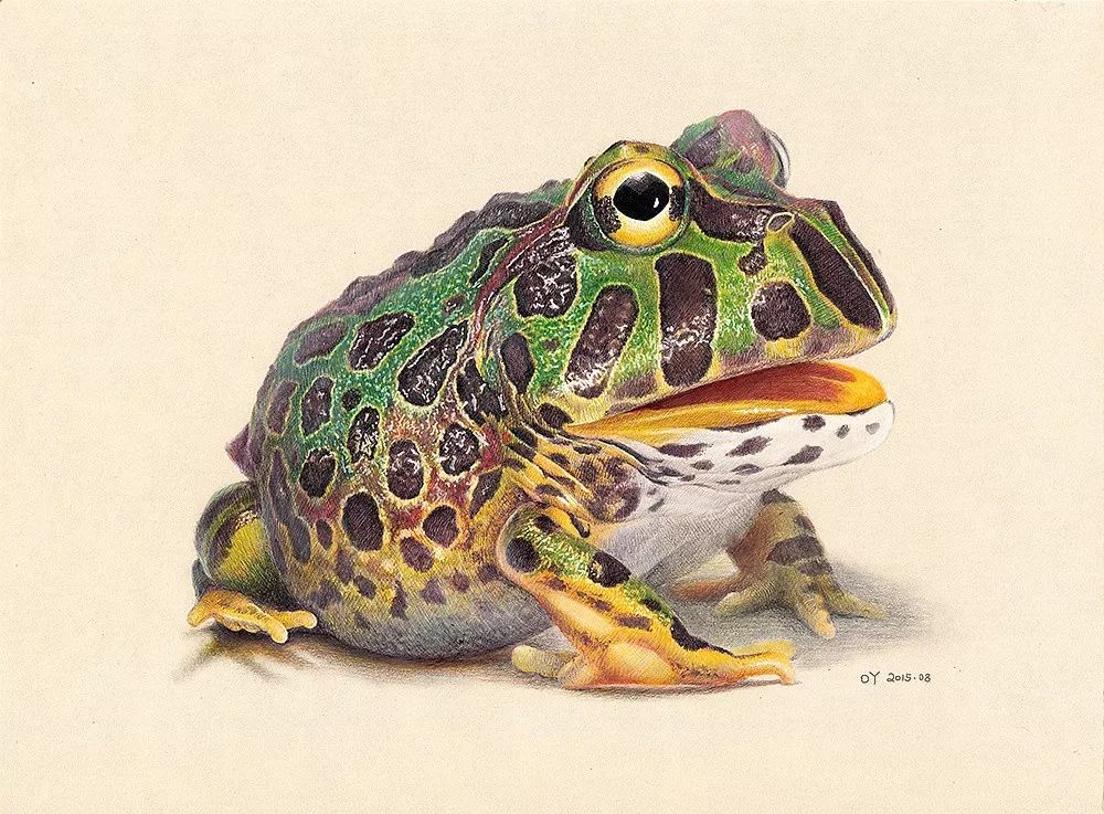 八大圆珠笔,顶级圆珠笔画欣赏