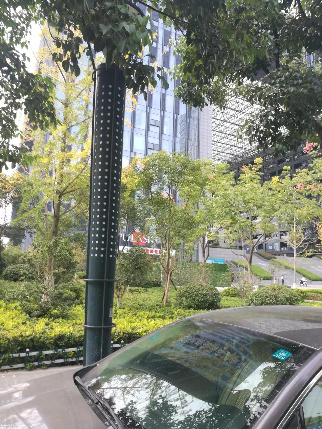 “别人都收到微信红包了，为啥我举报了好几次违停，都失败了呢？”原因出在这……