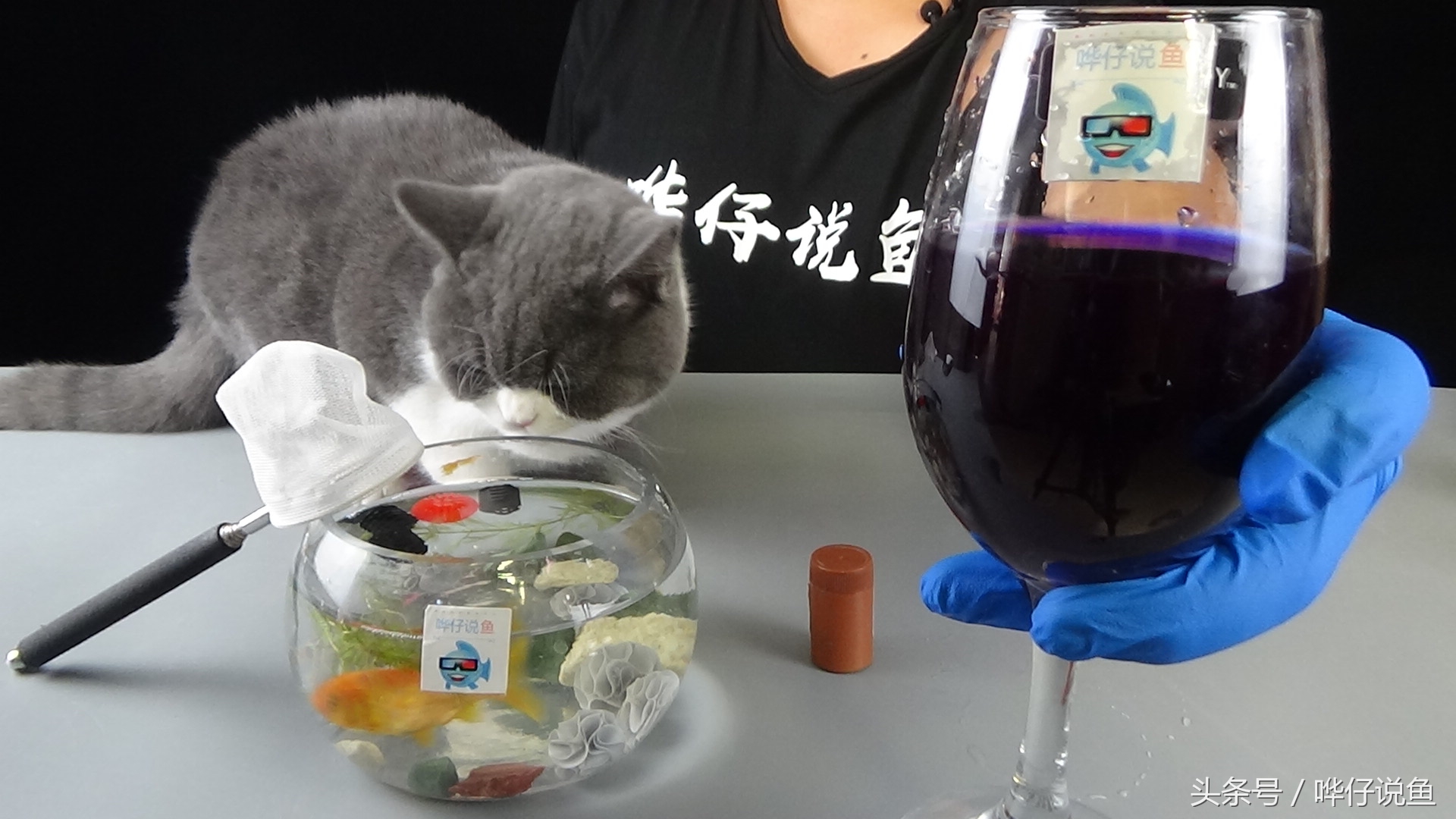 鱼缸里有高锰酸钾对鱼有影响吗,鱼缸用的高锰酸钾对人体有伤害吗