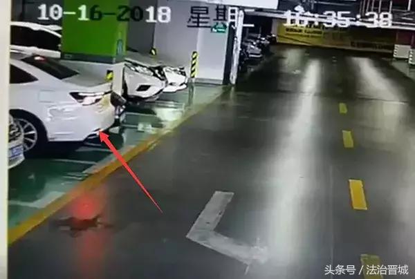 女司机倒车先撞玛莎拉蒂,27岁女司机撞玛莎拉蒂后续