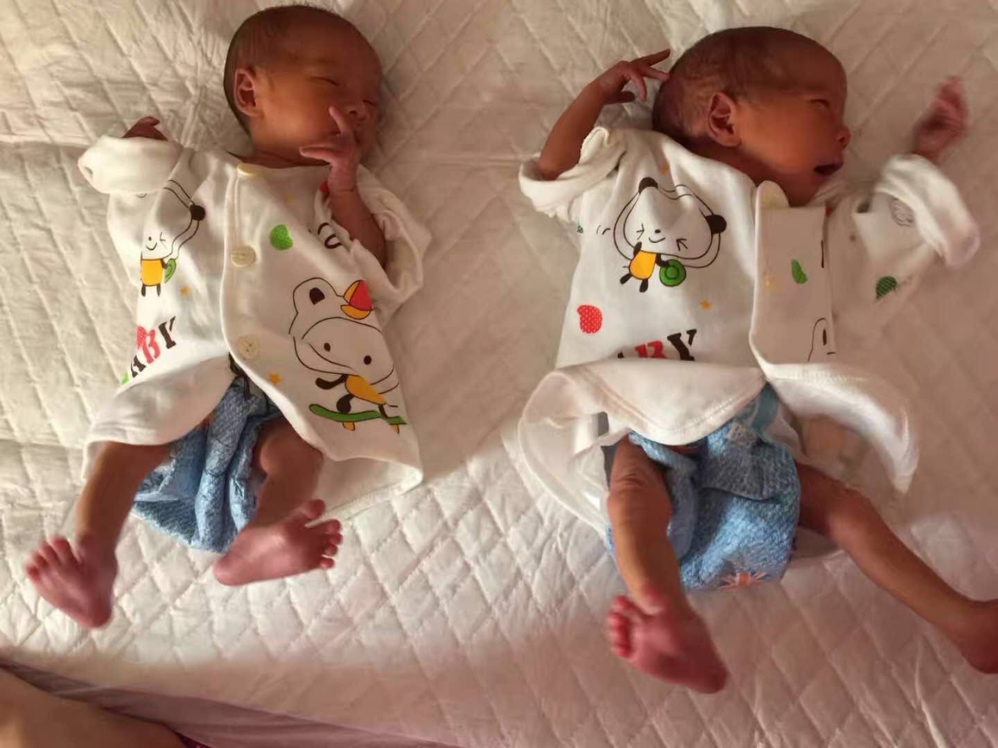 叮叮当当的换奶记