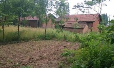 自己家的宅基地建房不给批怎么办,村里不给批宅基地可以起诉吗