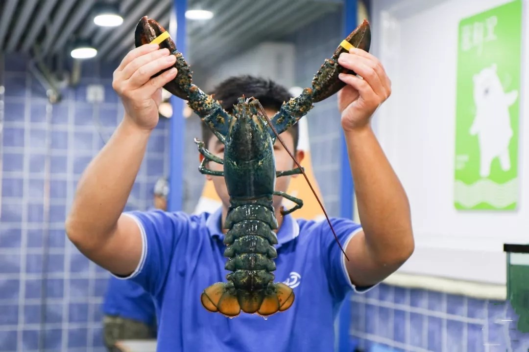 如何处理龙虾才是正确方法,龙虾活虾怎么处理最快又干净