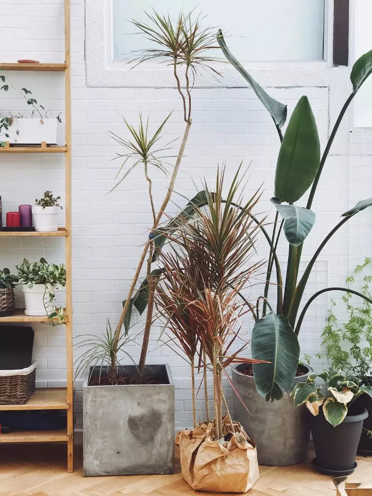 58平米老破房神级爆改,28平米老房爆改精致四居后续