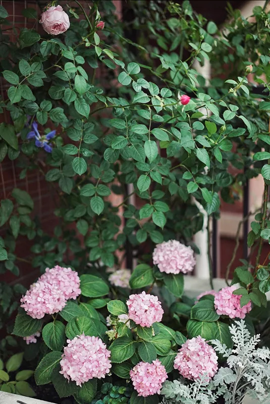 58平米老破房神级爆改,28平米老房爆改精致四居后续