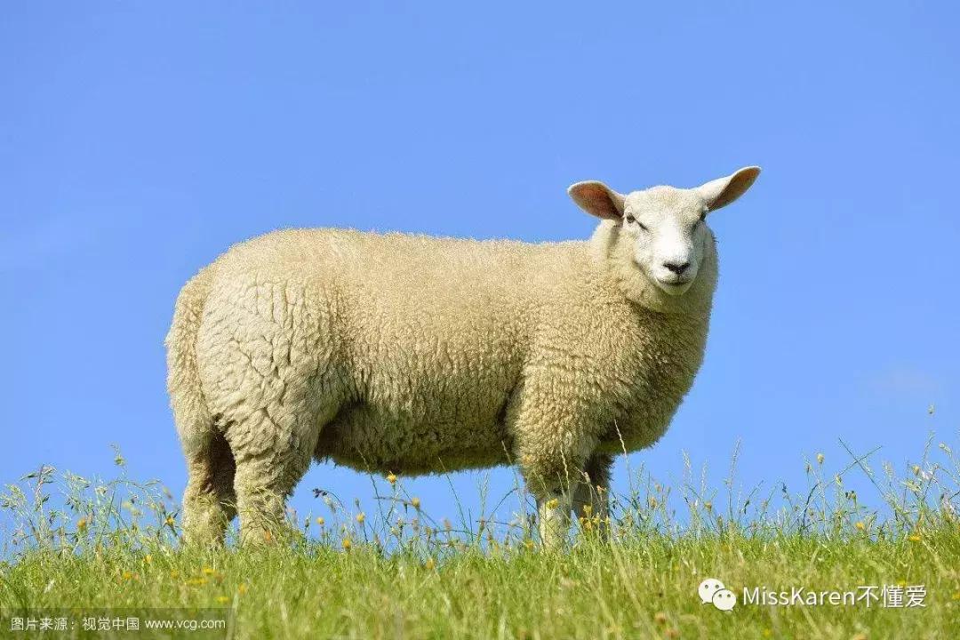 嫁给日本男人是怎样一种体验,嫁给台湾男生是一种怎样的体验