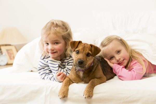 什么狗狗比较乖听话好养,狗狗文静变活泼