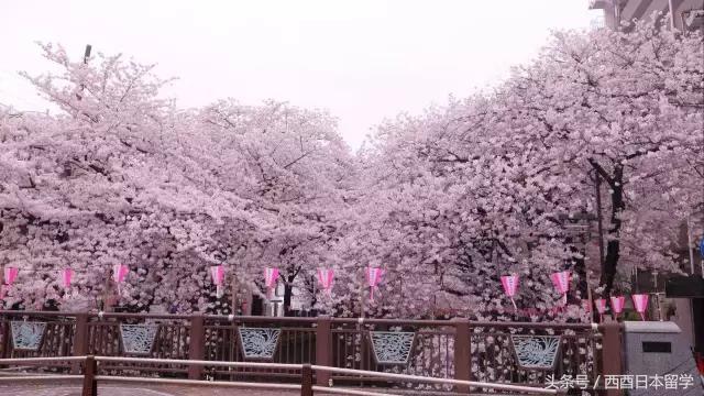 東京23区了解吗？