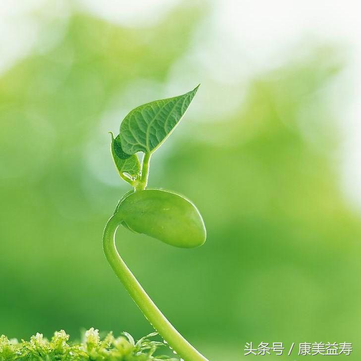 科学证实人体经络,科学最新发现人体奥秘