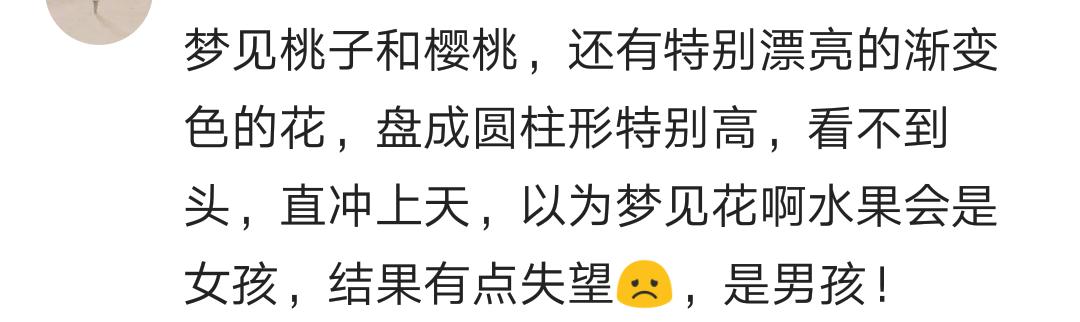 怀孕时梦到过两只狐狸,孕妇梦到过狐狸还梦到过凤凰