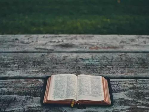 读完这本书我的感受英语,读完这本书我的感受是什么