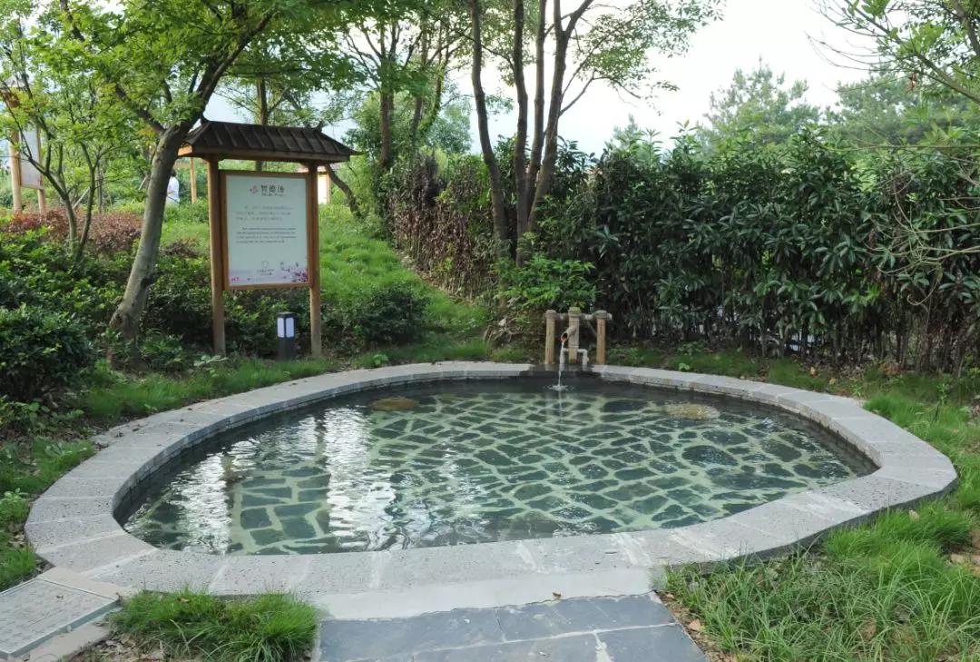 庐山上汤温泉度假村水上乐园,庐山上汤温泉度假村需要预订吗