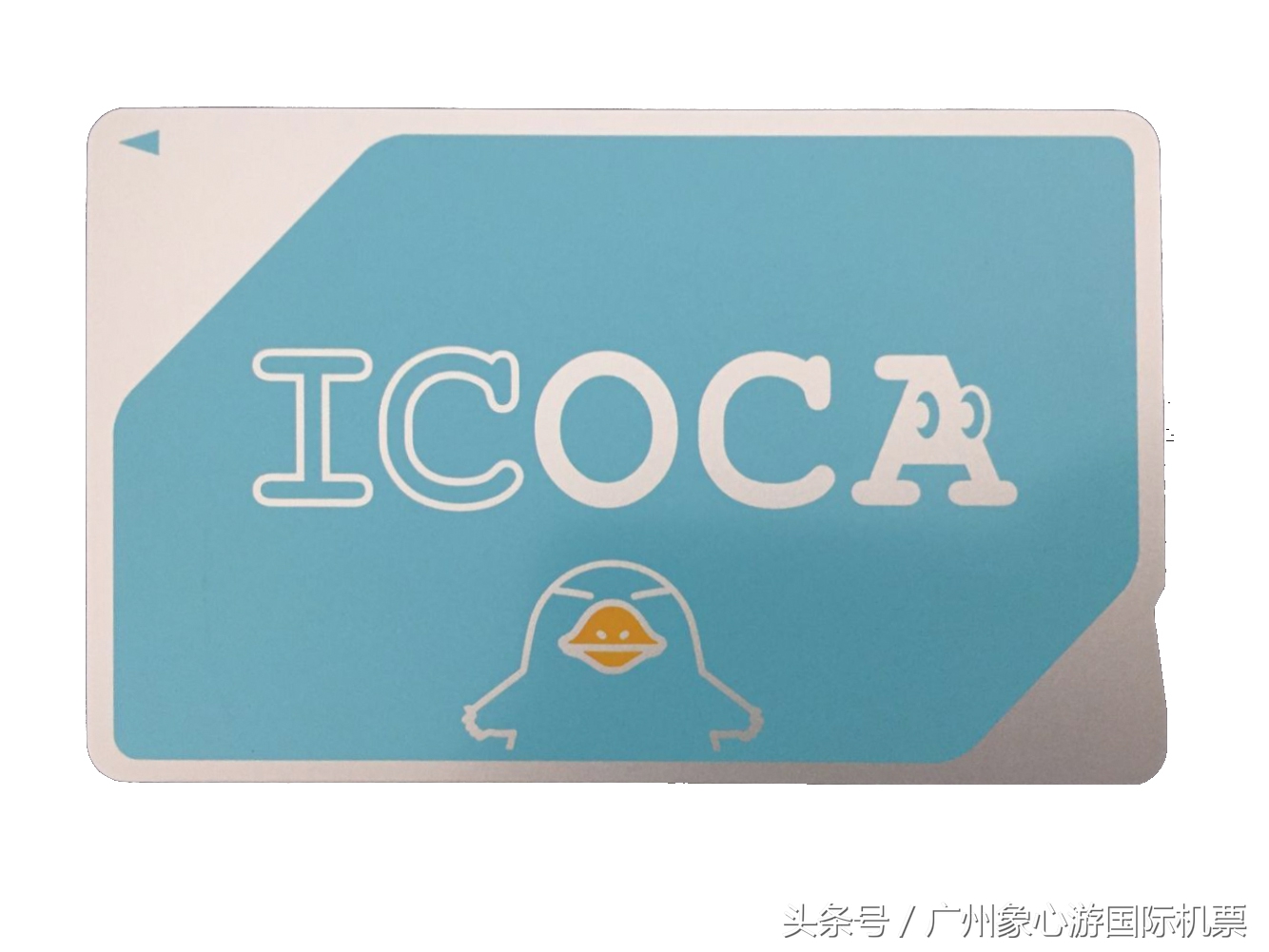 东京进大阪出8天自由行攻略,大阪京都东京镰仓