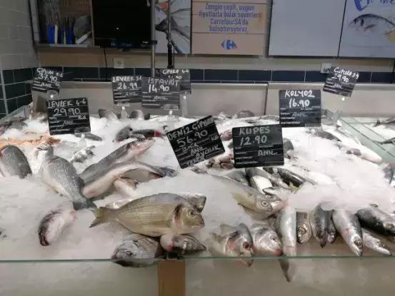 2018值得自驾的海外路线！穿梭地中海之路，聆听土耳其蓝色畅想曲