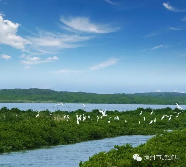 漳州周边自驾游乡村小众休闲游,漳州景美人少的小众旅行