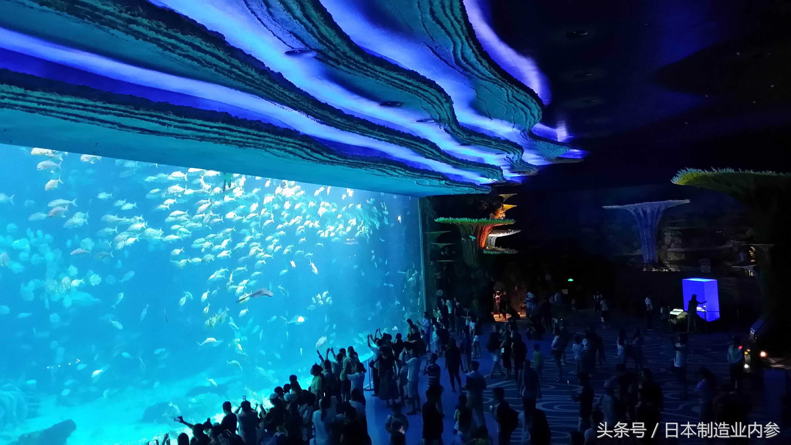 尼普拉亚克力,日本尼普拉