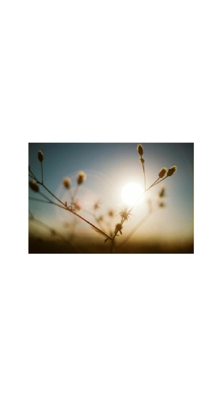 白底简约风景QQ微信聊天背景图