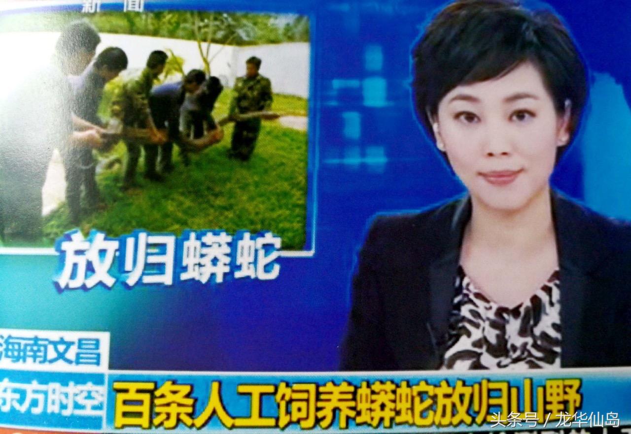 热带雨林探险之旅遇见蛇,亚公顶森林公园蟒蛇