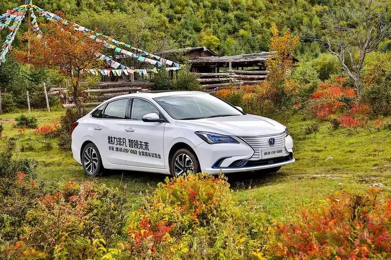 只在熊市有效的炒股进阶指南,在股市赚到钱的都是高手