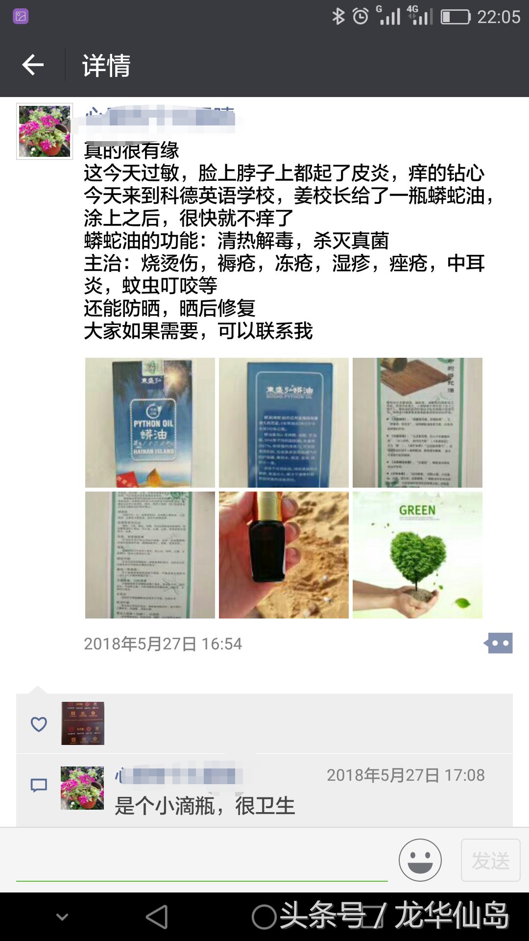 热带雨林探险之旅遇见蛇,亚公顶森林公园蟒蛇