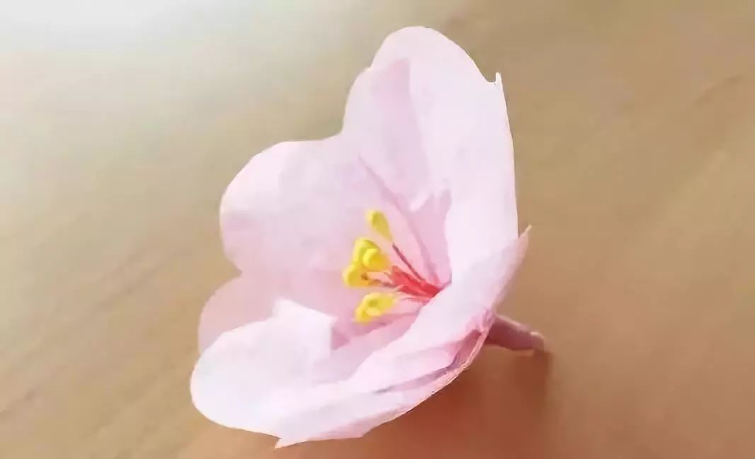 梅花纸皮灯笼手工制作,迎新年中式复古灯笼手工制作教程