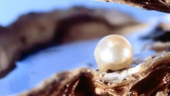 老珠子造假视频,老珠子造假