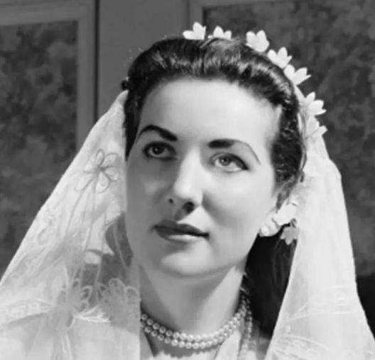 老珠子造假视频,老珠子造假