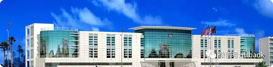 国产手机top5厂商销量,国内手机厂商上500强的有哪些