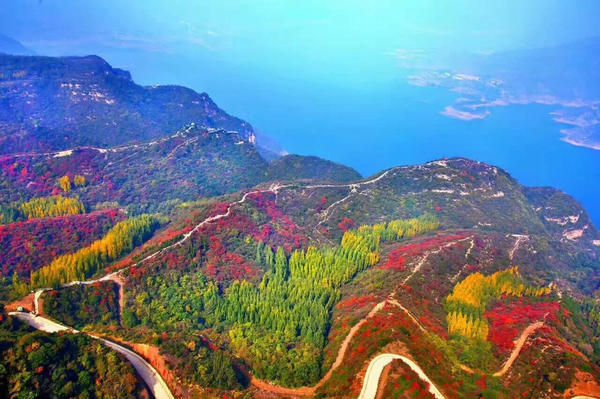 河南秋天最美红叶景区,河南最美红叶路线