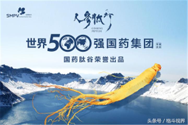 武极天下打造登封造极，大内高手献技少林！