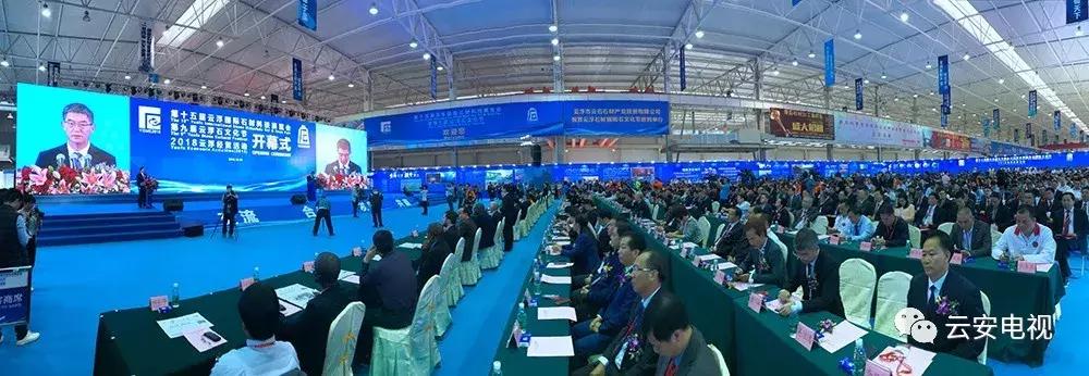 叹为观止发布会,顶级奇石展播视频