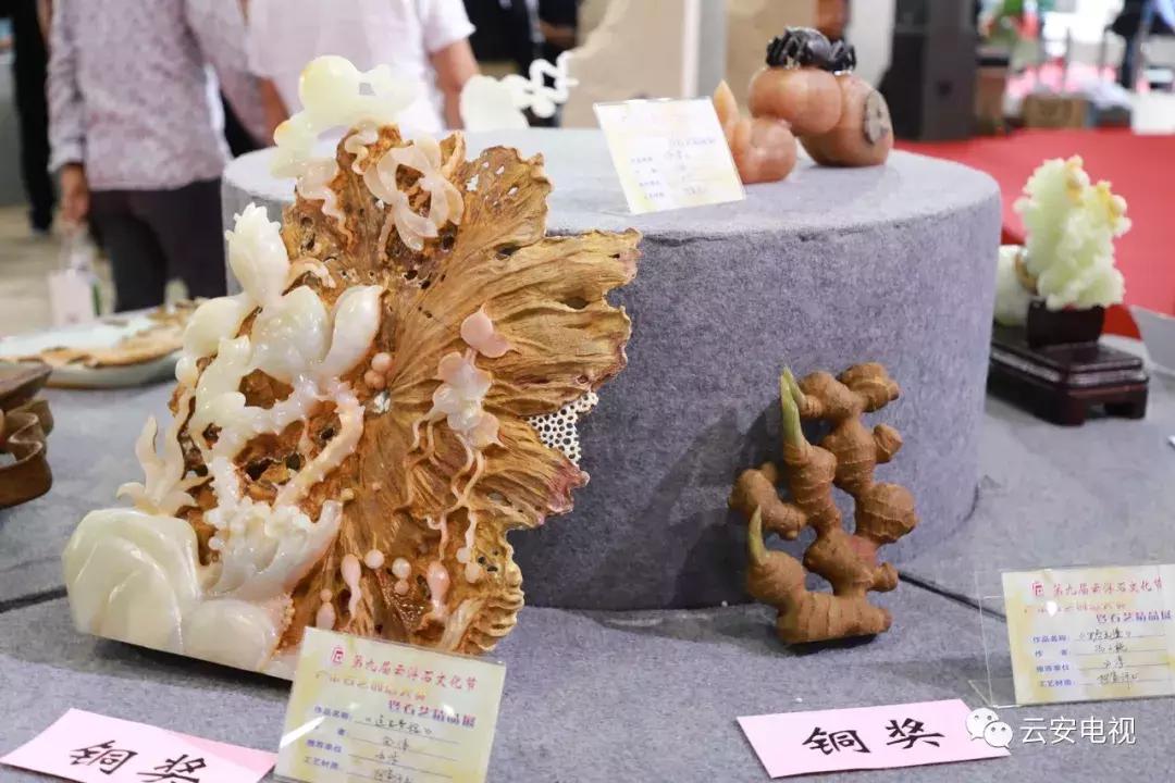 叹为观止发布会,顶级奇石展播视频