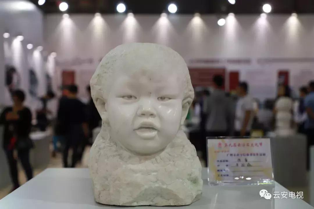 叹为观止发布会,顶级奇石展播视频