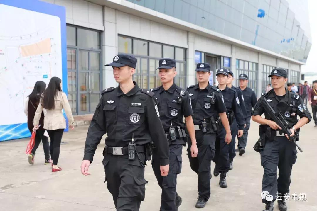 叹为观止发布会,顶级奇石展播视频