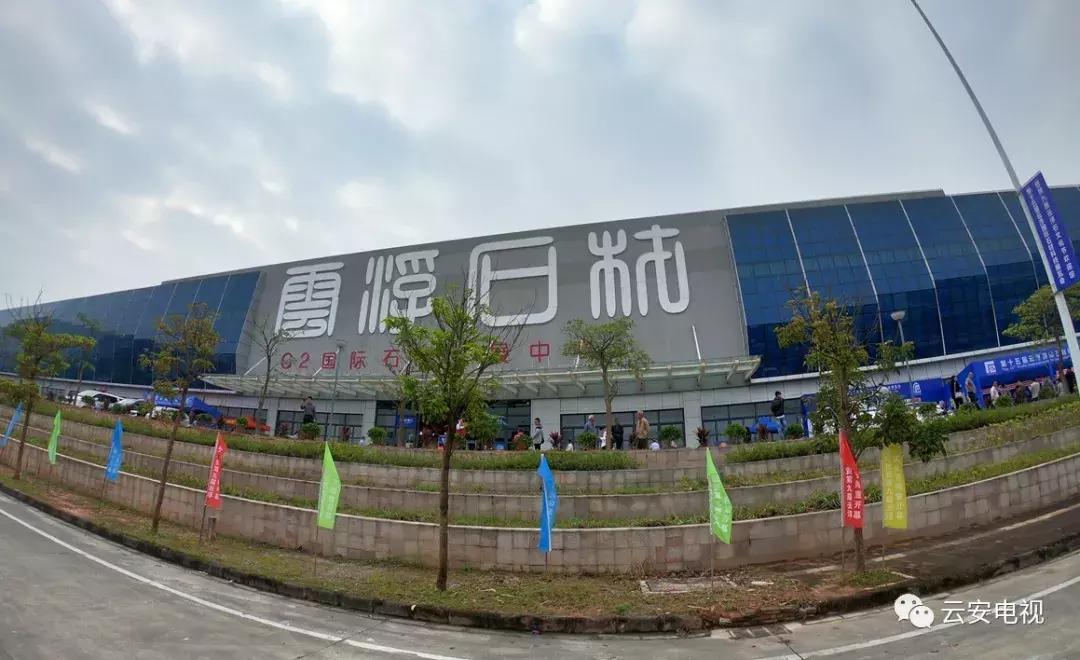 叹为观止发布会,顶级奇石展播视频