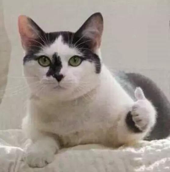 香港研究生毕业后找工作好找吗,香港读研毕业后待遇