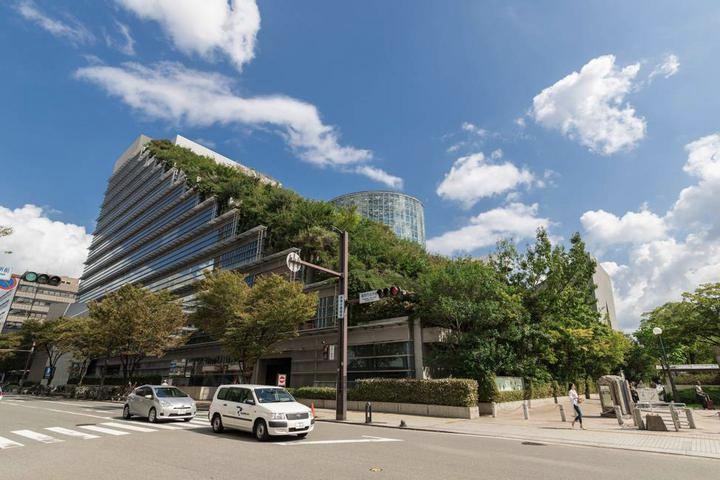 乘坐海洋量子号，来一场说走就走的海上旅行吧！