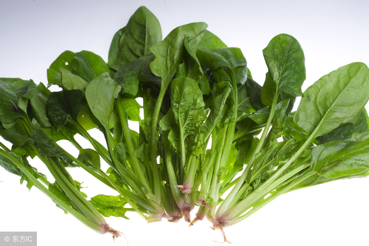 生理期怎么健康减肥,生理期怎么提前知道