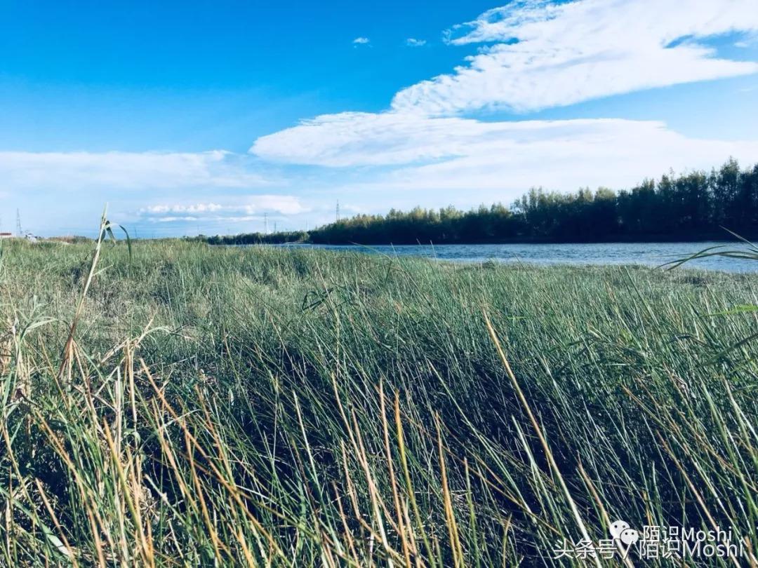 爱在心里路在脚下,心在路上路在心里的下一句