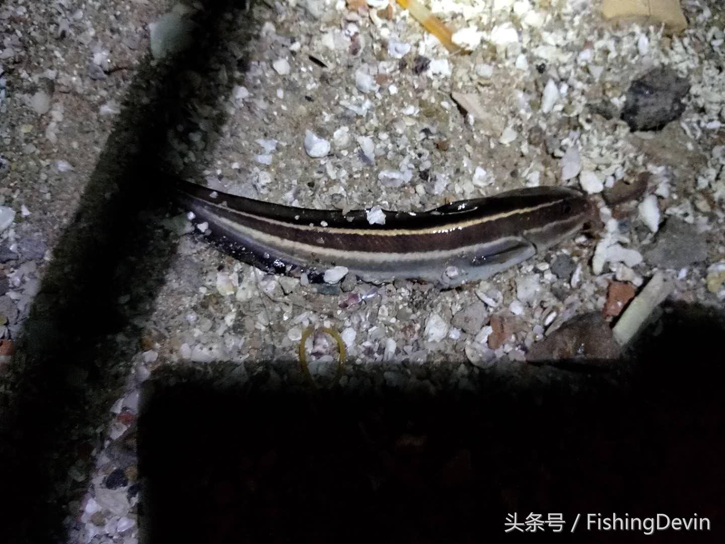 钓鱼碰到这三种情况千万别死守,钓鱼遇到的危险一幕