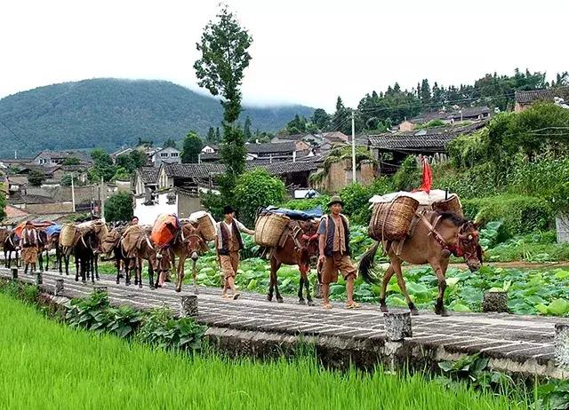 遥望祖国大江南北的壮丽山河,遥望中国千年的历史长河